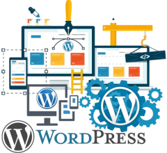 web-development-removebg-preview